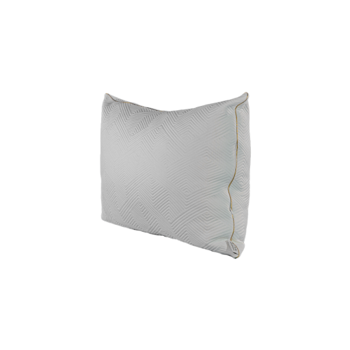 بالشت هیلتون پاپیو